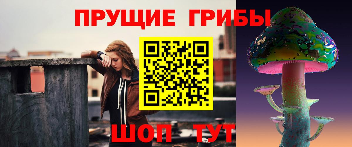 Псилоцибиновые грибы мицелий  Вход с VPN  Тихорецк  Галлюциногенные грибы мухоморы 